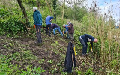 Heemstede natuurnieuws 28april: nieuw fruitpark op Meermond