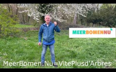 meerbomennu in Frankrijk