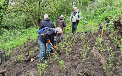 Heemstede natuurnieuws 19 mei: Bloemenweides vrij van riet