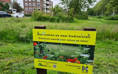 Blog 26 mei: Maaien, wieden en natuurmarketing