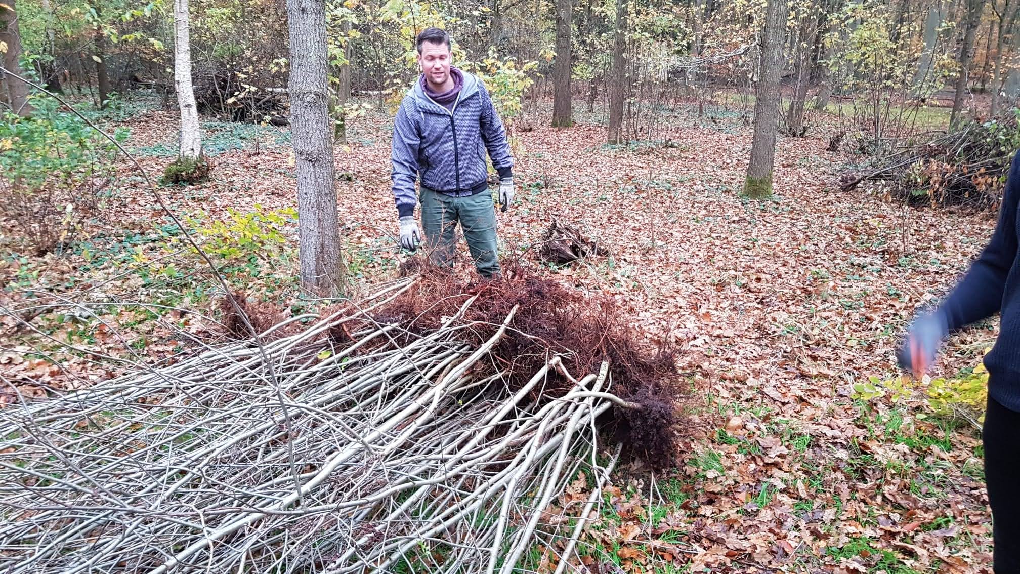 PERSBERICHT:  Natuurwerkdag 1 en 2 nov. 2024: Bomen redden en biodiversiteit verbeteren