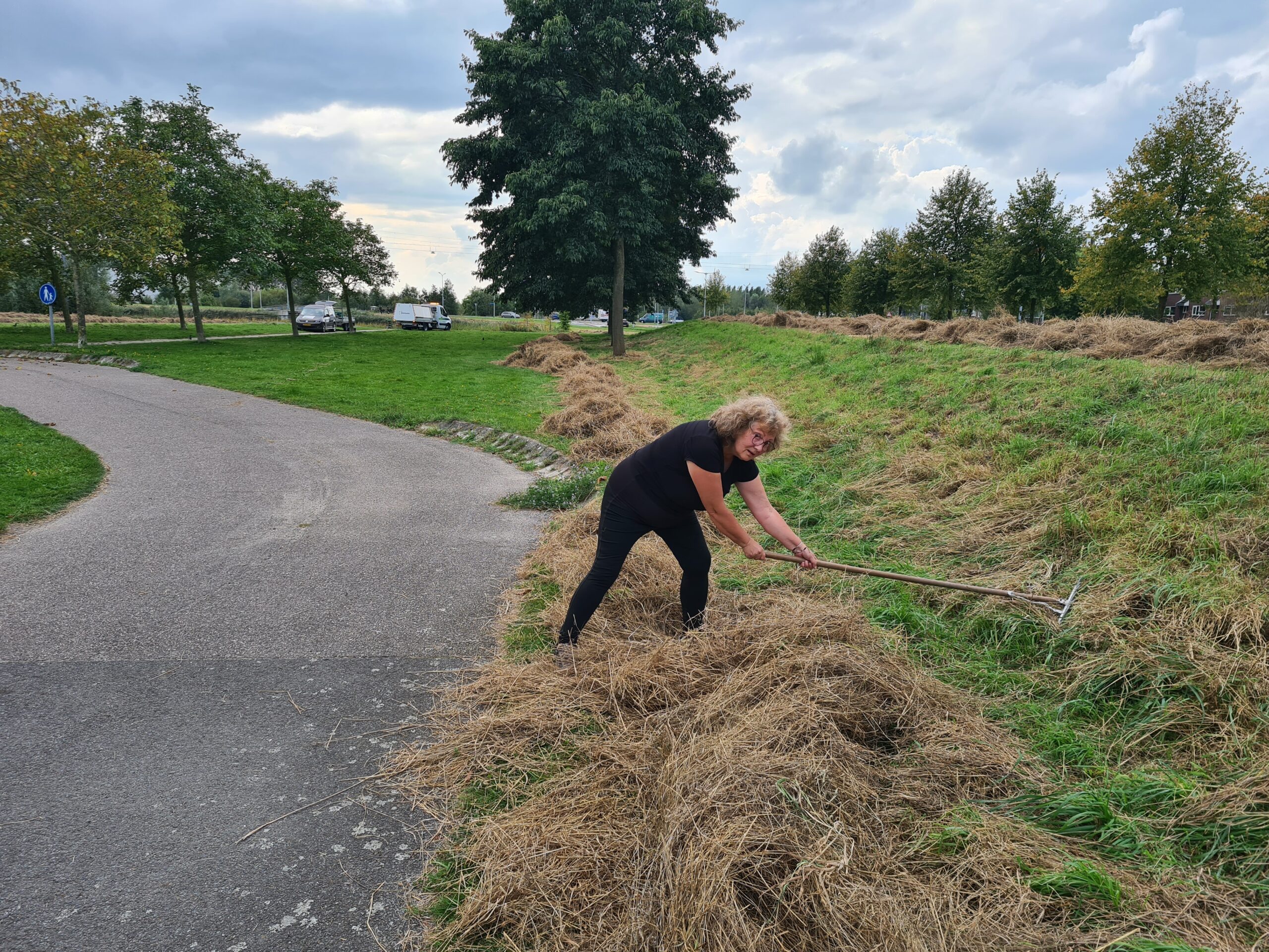 Blog 20 oktober: Hoogspanningskansen