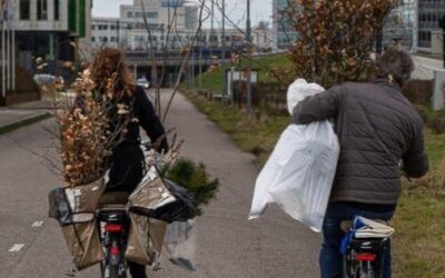 PERSBERICHT : Zaterdag 14 december: Gratis bomen voor iedereen