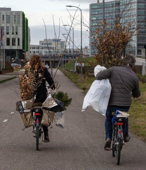  Hoveniersbedrijf De Langstraat  thumbnail