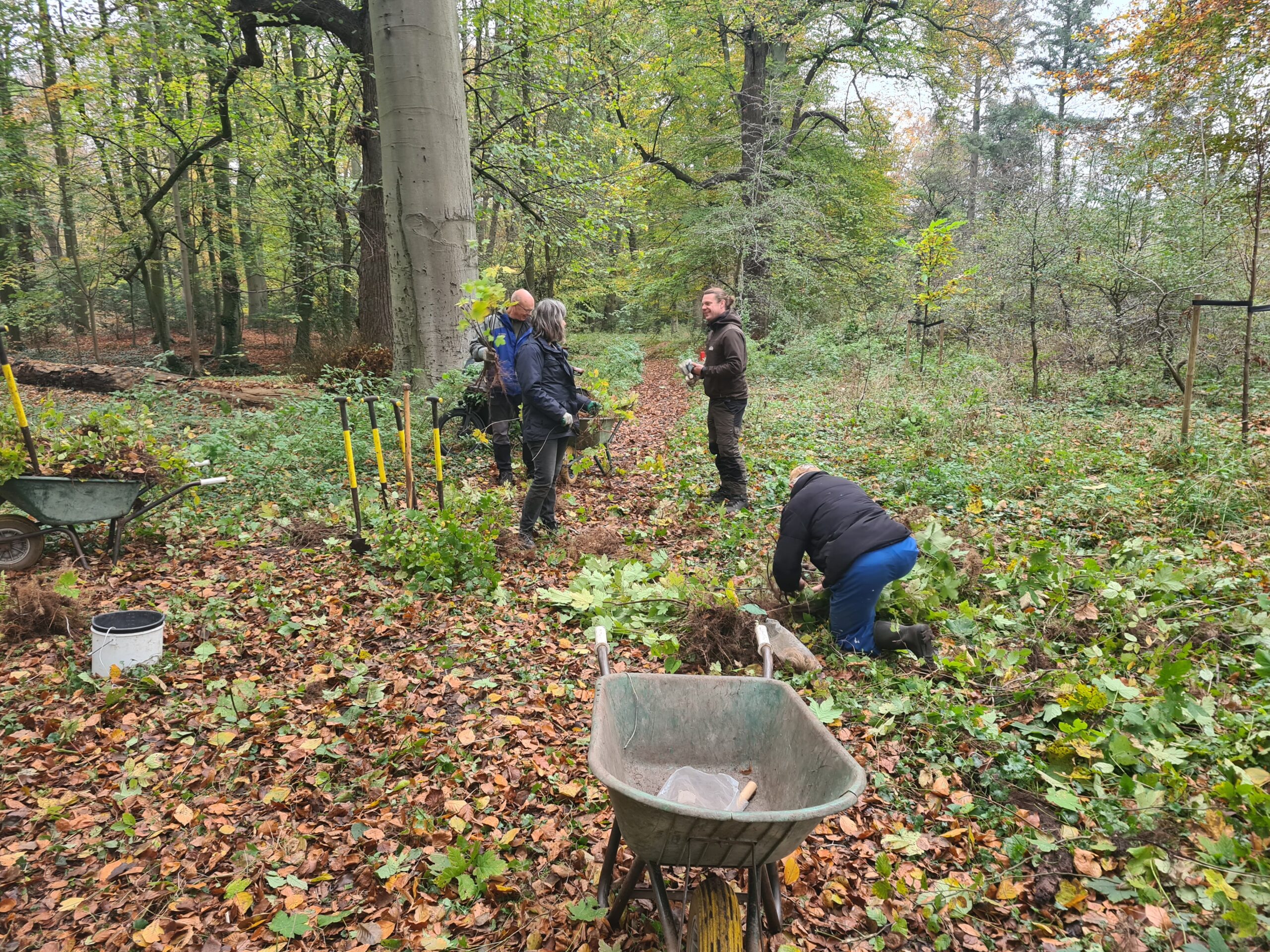 Heemstede natuurnieuws 10 november: start meerbomen campagne en oogst begeleiderscursus