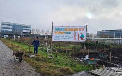 Heemstede natuurnieuws 8 december: Vrijgevig Groenendaal