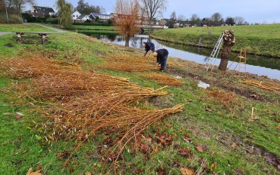 Blog 8 december: Bestuurslid Ton van Oostwaard overleden